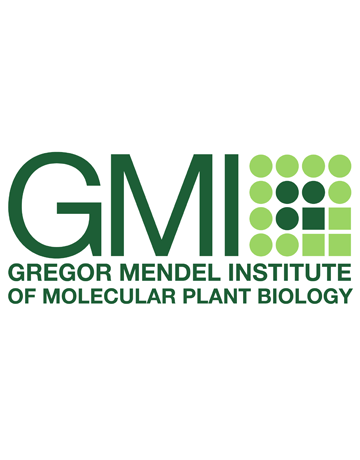 GMI Logo